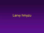 Larvy hmyzu