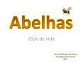Ciclo de vida PowerPoint PPT Presentation