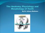 The Anatomy, Physiology and Morphology of Teeth