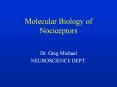 Molecular Biology of Nociceptors PowerPoint PPT Presentation