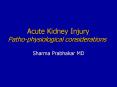Acute Kidney Injury Patho-physiological considerations PowerPoint PPT Presentation