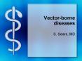 Vector-borne%20diseases PowerPoint PPT Presentation