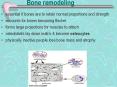 Bone remodeling PowerPoint PPT Presentation