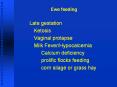 Ewe feeding PowerPoint PPT Presentation