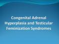 Congenital Adrenal Hyperplasia and Testicular Feminization Syndromes PowerPoint PPT Presentation