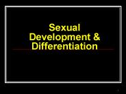 Sexual Development