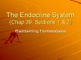 The Endocrine System (Chap 39, Sections 1 PowerPoint PPT Presentation
