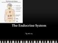 The Endocrine System PowerPoint PPT Presentation