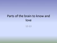 Parts of the brain to know and love