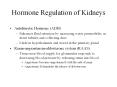 Hormone Regulation of Kidneys PowerPoint PPT Presentation