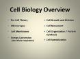 Cell Biology Overview PowerPoint PPT Presentation