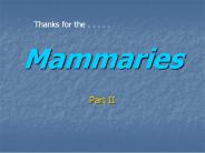 Mammaries