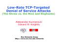 Low-Rate TCP-Targeted Denial of Service Attacks (The Shrew vs. the Mice and Elephants) PowerPoint PPT Presentation