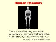 Human Remains