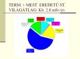 TERM.   MEST. EREDETU ST. VIL PowerPoint PPT Presentation