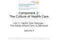 Component 2: The Culture of Health Care PowerPoint PPT Presentation