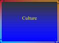 Culture PowerPoint PPT Presentation