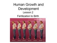 Human Growth and Development