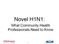 Novel H1N1: PowerPoint PPT Presentation