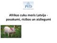 Afrikas cuku meris Latvija - pasakumi, ricibas un aizliegumi PowerPoint PPT Presentation