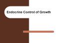 Endocrine Control of Growth PowerPoint PPT Presentation