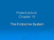 PowerLecture: Chapter 15