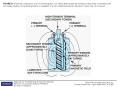FIGURE 31-1 Internal construction of an oil-cooled ignition coil. Notice that the primary winding is electrically connected to the secondary winding. The polarity (positive or negative) of a coil is determined by the direction in which the coil is wound. PowerPoint PPT Presentation