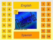 Vocabulary Flashcards