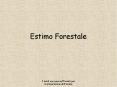 Estimo Forestale PowerPoint PPT Presentation