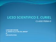 LICEO SCIENTIFICO E. CURIEL