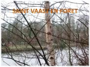SAINT VAAST EN FORET