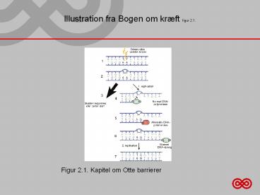 Illustration fra Bogen om kr