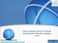 JSB Market Research: Chronic Kidney Disease (Chronic Renal Failure)-Pipeline Insights, 2015 PowerPoint PPT Presentation