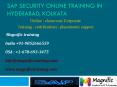 sap security online training in canada PowerPoint PPT Presentation