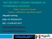 sap security online training in canada