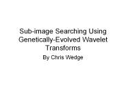 Sub-image Searching Using Genetically-Evolved Wavelet Transforms