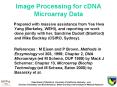 Image Processing for cDNA Microarray Data PowerPoint PPT Presentation