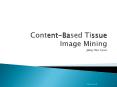 Content-Based Tissue Image Mining Jang Hee Kyun PowerPoint PPT Presentation