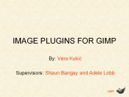 IMAGE%20PLUGINS%20FOR%20GIMP
