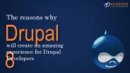 Drupal Developers