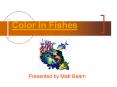 Color In Fishes PowerPoint PPT Presentation