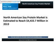 North American Soy Protein Market