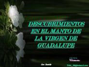 Diapositiva 1