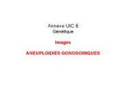 Annexe UIC 6 G