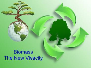 Boimass The New Vivacity