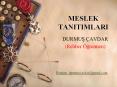 MESLEK TANITIMLARI PowerPoint PPT Presentation