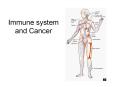 Immune%20system%20and%20Cancer PowerPoint PPT Presentation