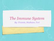 The Immune System