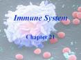 Immune System PowerPoint PPT Presentation