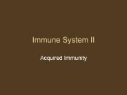 Immune System II